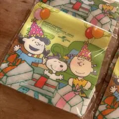 ジッパーバッグ　スヌーピーキャラクターグッズ