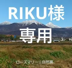 RIKU様 リクエスト 3点 まとめ商品