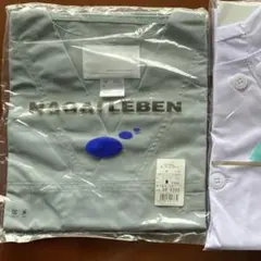 Item thumbnail for item 77356b0e-1778-4ce2-ad36-53cc98f13461