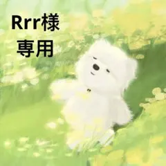 Rrr様 リクエスト 3点 まとめ商品