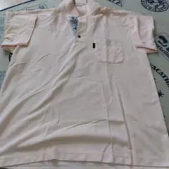 Item thumbnail for item 4374074e-764c-4abd-885b-3e0a255f7144