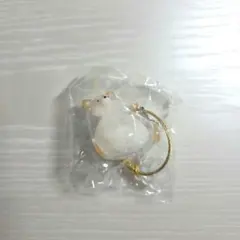 うちの子のけだまだま 犬のけだまだま 柴犬