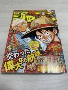 中古本】週刊少年ジャンプ 2010年 44号 ワンピース 新世界 - メルカリ