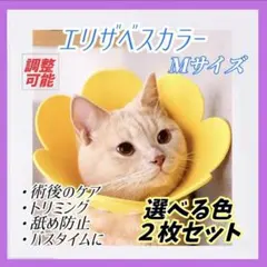 Item thumbnail for item 276cfd2e-f53d-45ea-9deb-b24a4695b63c