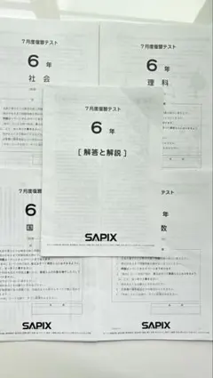 2026年最新】サピックステストの人気アイテム - メルカリ