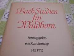 Item thumbnail for item 0a18c0dc-a1f1-4145-9fab-3ce825d07c1b