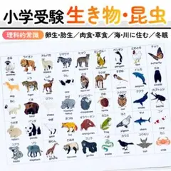 華はな様 リクエスト 4点 まとめ商品