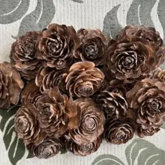 バラ型松ぼっくり　まつぼっくり　自然　ツリー飾付け