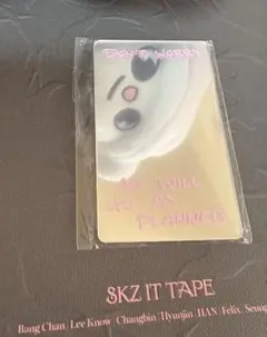 スキズ SKZ IT TAPE ミラーカード バンチャン