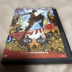 DVD マッハ2