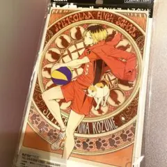 ハイキュー アクリルアートスタンド 孤爪研磨