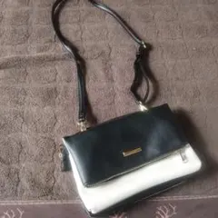 Item thumbnail for item f6aa5759-f33c-4b34-a4cd-56528a0fa9a6