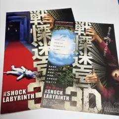 戦慄迷宮 3D パンフレット&フライヤー