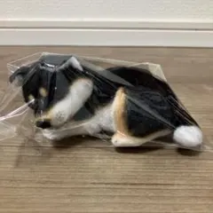 リアルアニマル Cute 子犬うつぶせマスコット 黒柴