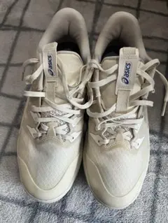 Item thumbnail for item fc6bb074-f1c2-4985-bfb9-3a4d336ecf6c