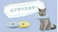 Item thumbnail for item c28f69be-fe4c-41e1-b02b-12fcaac7905e