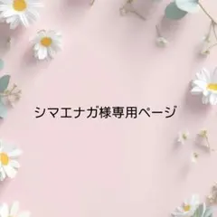 シマエナガ様専用ページ