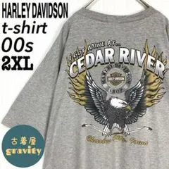【人気アイテム】ハーレーダビッドソン☆tシャツ イーグル　バックプリント　00s