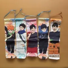 ハイキュー!! ミニタペストリー 5種セット