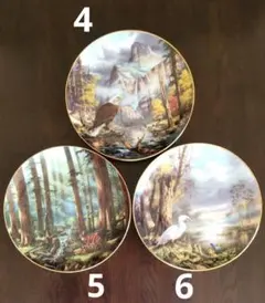 ②「 God Bless America」大自然風景プレート3枚セット一皿購入可