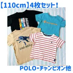 【夏物】 POLO クワガタ　チャンピオン　まとめ売り　110cm 半袖