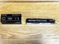 Item thumbnail for item 0c7d6cd0-a279-4498-8faa-9faa57877123