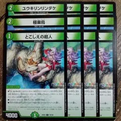 ユウキリンリンダケ　極楽鳥　とこしえの超人　②