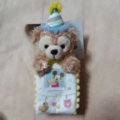 ディズニー40周年　ダッフィー 腕巻きぬいぐるみ　限定完売品　新品タグつき