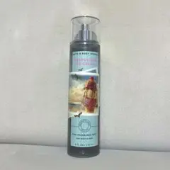 BBW ❁　ナポリタンアイスクリーム　Bath and body worksのサムネイル
