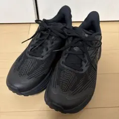 HOKA M Challenger8 GTX WIDE 27.0cmのサムネイル