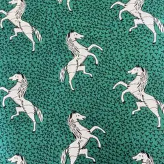 Item thumbnail for item c7c037aa-7d40-4518-9653-0acb4056a018