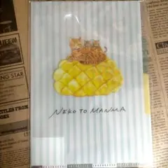 Item thumbnail for item ed05c88f-667e-452f-9122-57d6e0d15e7a