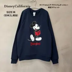 2025年最新】カリフォルニアディズニー スウェットの人気アイテム