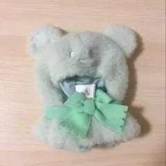 ディズニーストア　シークレットポンチョ　緑のサムネイル