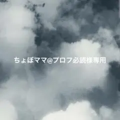 ちょぼママ@プロフ必読様 リクエスト 2点 まとめ商品
