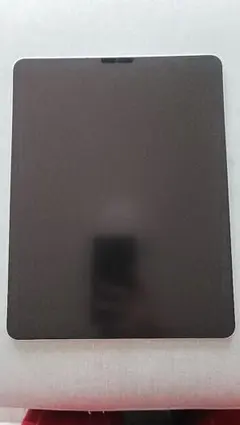 ジャンク iPad Pro 12.9 第3世代 256GB 本体