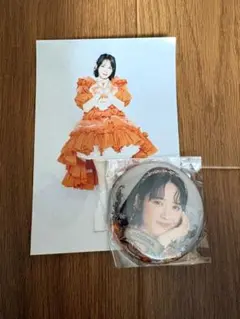 FRUITSZIPPER 鎮西寿々歌 ポストカード 缶バッジセット おすず