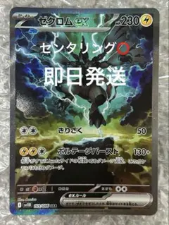 2025年最新】ゼクロムEXの人気アイテム - メルカリ