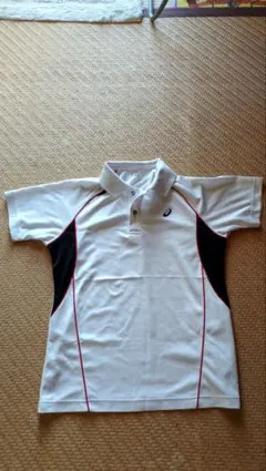 Item thumbnail for item 7e183c59-428c-4f96-9c6b-8871c7314feb