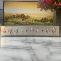 COLUMBIA コロムビア LSA SA-3300 整備品 - メルカリ