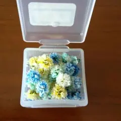 かすみ草ドライフラワー　花材 ブルー　イエロー　　(122)