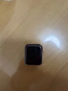 《美品》Apple Watch SE 40mm 第1世代　付属品付き