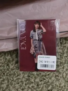 僕が見たかった青空　僕青　八木仁愛　ランダムフォトカード　ヒキ　パンフレット