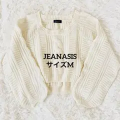 ジーナシス JEANASIS ケーブル編み ショート丈 ニット M