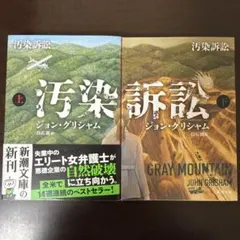 Item thumbnail for item 06a63c12-e2cc-4c5a-b3dc-94dcbe5bf8f5