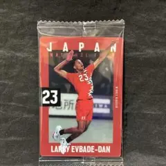 【エバデダンラリー】日本代表男子バレー　ツインウエハース2025 N 2-15