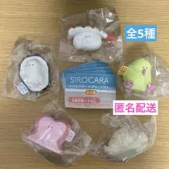 【最終価格】 全5種 SIROCARA シロカラ ボールチェーンマスコット