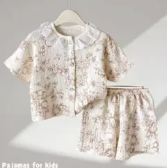 Item thumbnail for item 82722e96-91e6-407a-b0da-8185f6dbcadb