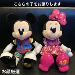 ミッキー　ミニー　ぬいぐるみ　セット　東京ディズニーランド43周年