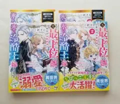 元・最下位の妃、2度目の政略結婚で氷の冷酷王に嫁ぎます～「愛は望むな」と言われ…